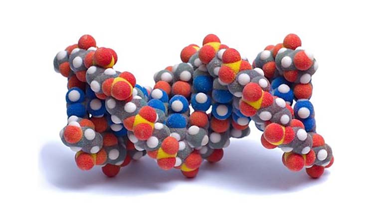 Дорожите своим телом