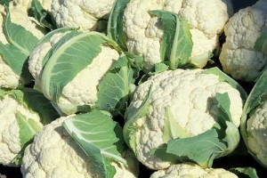 Белокочанная и цветная капуста, брокколи