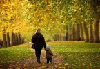Деревья полезны для здоровья человека