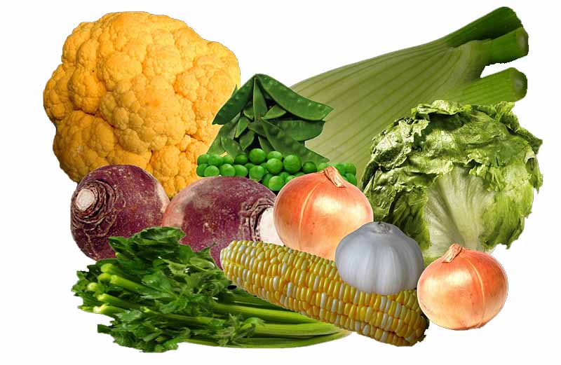 5 функций клетчатки