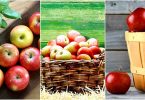 5 оснований употреблять фрукты каждый день